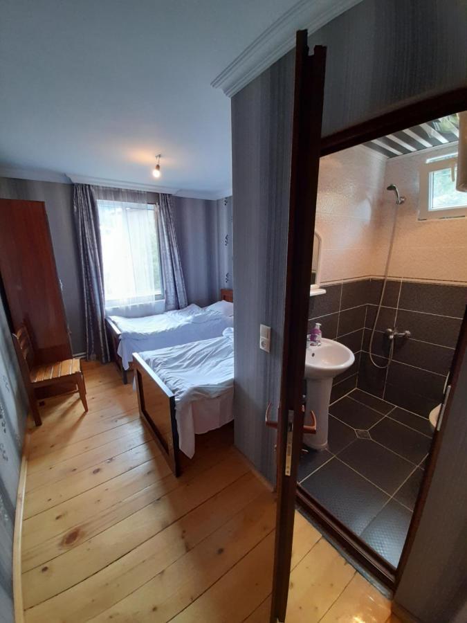 Hotel House Mon Amie à Mestia Extérieur photo